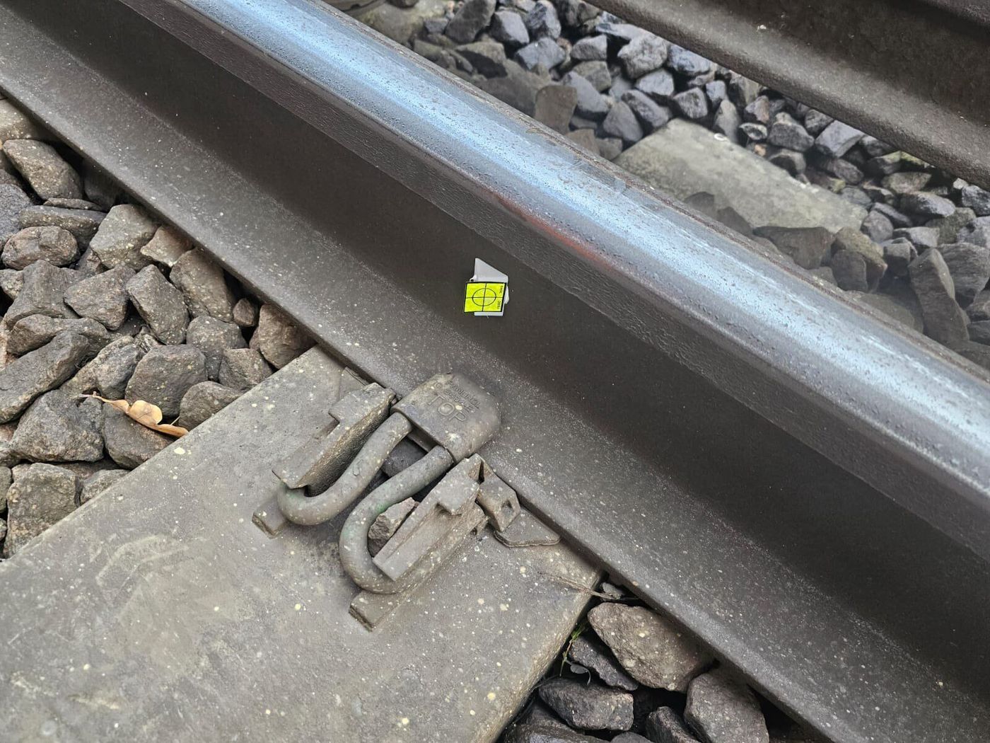 Monitoring target fixed to rail